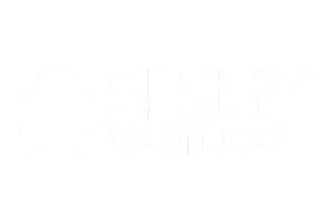 Simsy Ventures