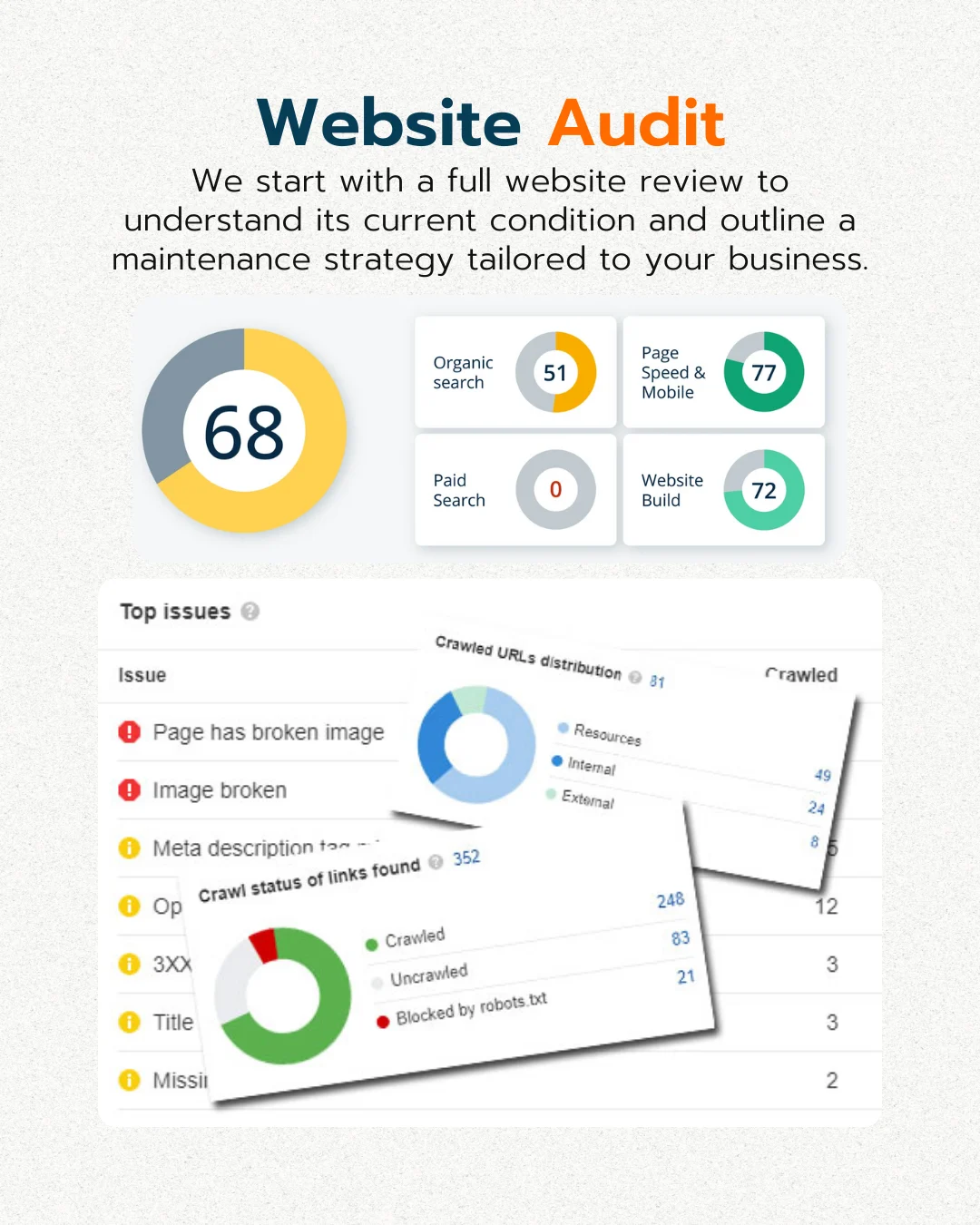 Website Audit IMG